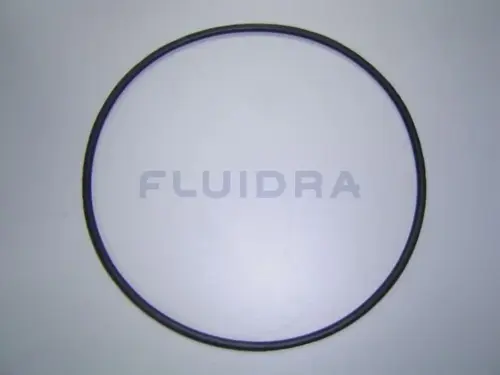 O-RING 192X5 POMPA ASTRAL MAXIM - immagine 1